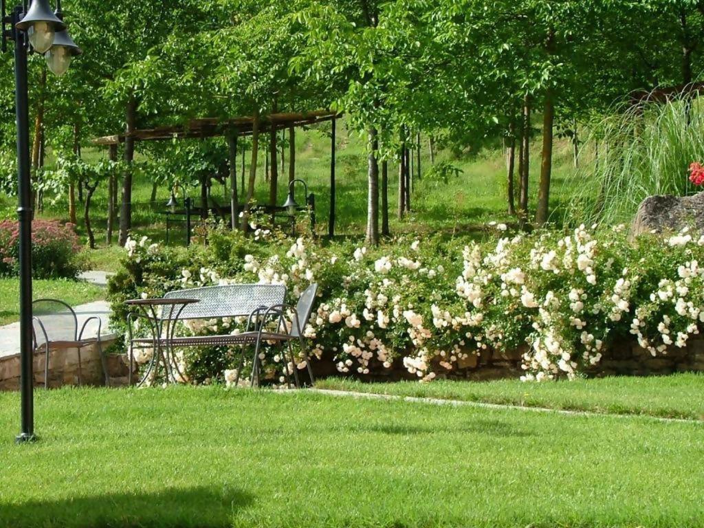 Agriturismo Podere La Casaccia Poppi Exteriör bild